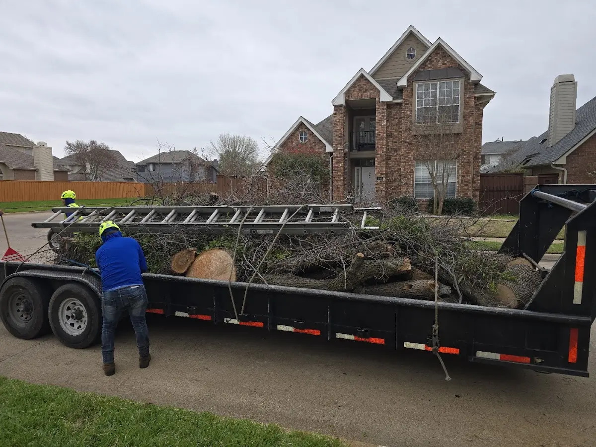 Expert Lot Clearing with proper safety equipment in Spangle
